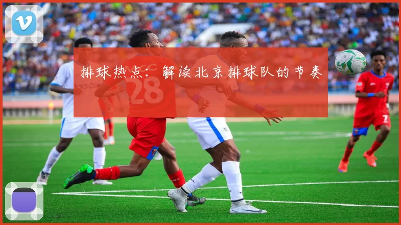 排球热点：解读北京排球队的节奏